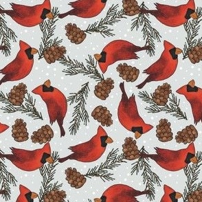Winter Cardinals 