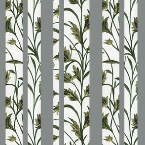 Botanical Illustration Gray Stripe