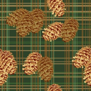 Pinecones on Plaid (small)