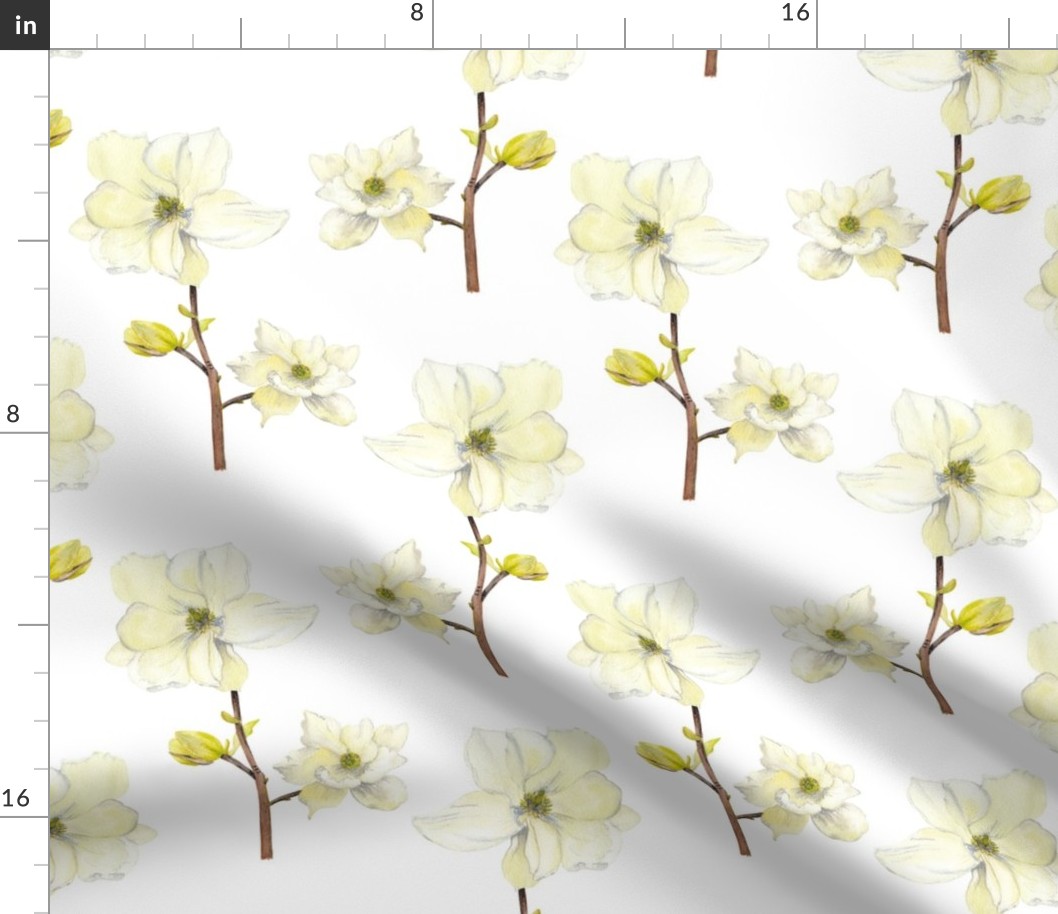 White Flower Magnolia  Pattern