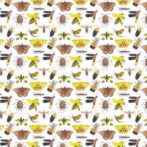 Insects Pattern 3