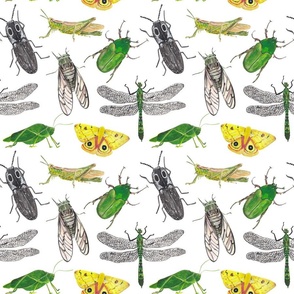 Insects Pattern 4