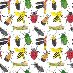 Insects Pattern 1