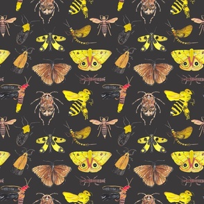 Insects Pattern 3 Dark