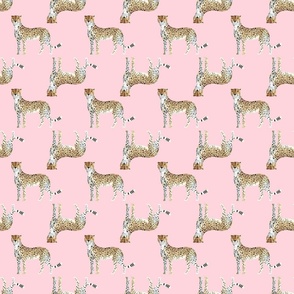 Cheetah Simple Pattern Pink Blush
