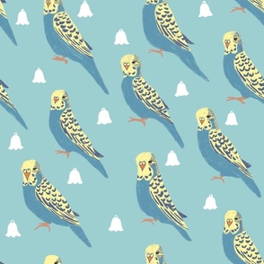 Pretty Budgie - Blue