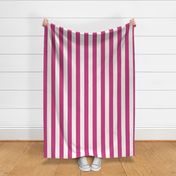 Pink Cabana Stripe