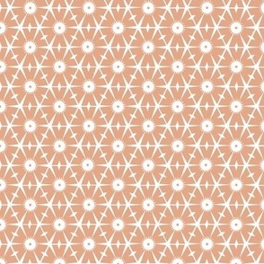 Terracotta Geo Hexagon Shapes on White Background - small scale