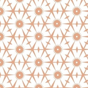 White Geo Hexagon Shapes on Terracotta Background - middle scale