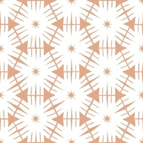 White  Geo Flowers in a Terracotta Hexagon Shape - middle scale