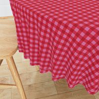 Valentine's Day Gingham, Red and Pink, Small Scale