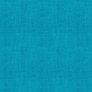 Denim Textured Solid - Resort Aqua Blue Small Scale