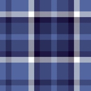 Nine Boxes  Plaid in Blue-Violet with White
