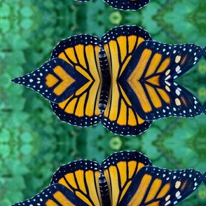 AJ MONARCH BUTTERFLY ABSTRACT GEOMETRICAL 5-JUMBO-MIRROR