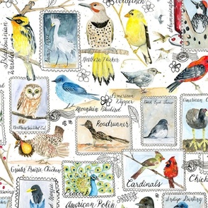 Watercolor Birding Stamps // Medium