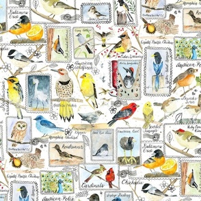 Watercolor Birding Stamps // Small