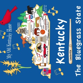 Kentucky State Map Quilt top