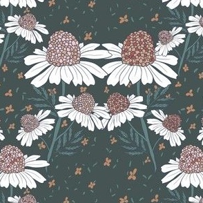 Chamomile  flowers and raspberry  pattern 