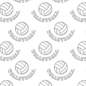 Volleyball Icon Grey