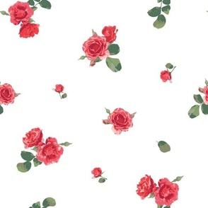 Small red roses on white