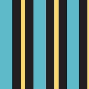 Bee Coordinating Stripe Teal Extra Large