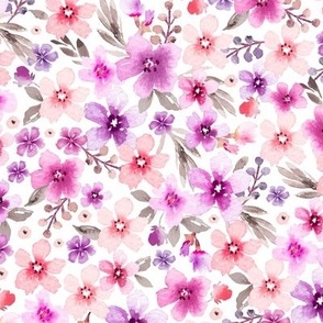 Pretty watercolor floral, botanical florals, pink 