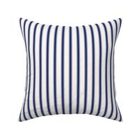 Blue Ticking Stripe