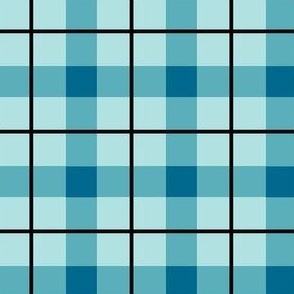 Turquoise Teal Blue Plaid Small