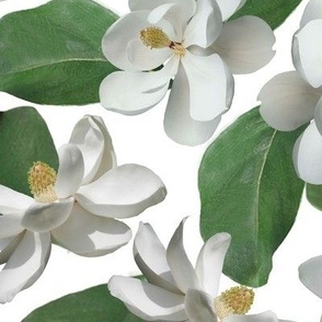 Magnolia White Large