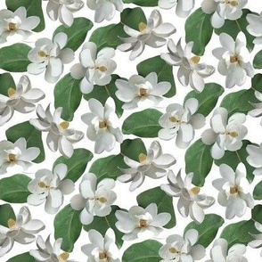 Magnolia White Small