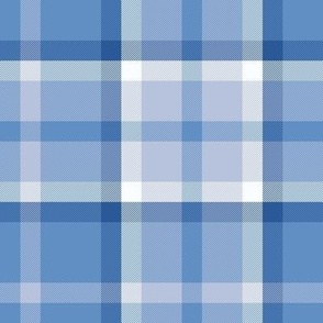 Nine Boxes Plaid in Baby Blue