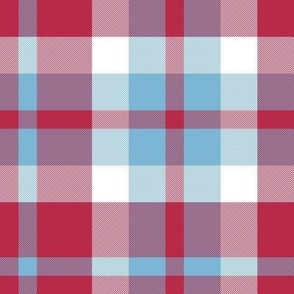 Nine Boxes Plaid in Red White and Sky Blue