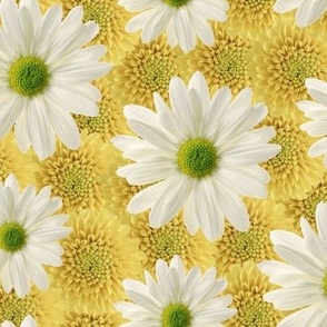 daisy flower wall, botanical floral 