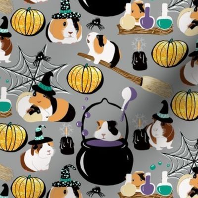 Halloween Witch's Guinea Pigs