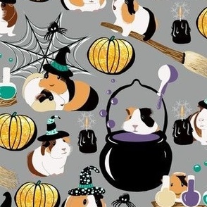 Halloween Witch's Guinea Pigs