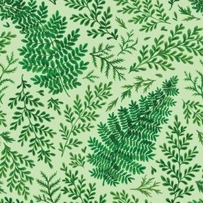 (small, light green) Ferns