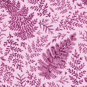 (large, light pink) Ferns