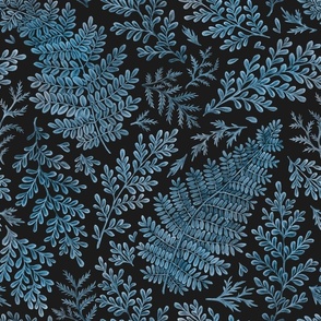 (large, blue) Ferns