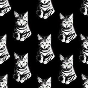 Black  & White Cats - Medium print on black background