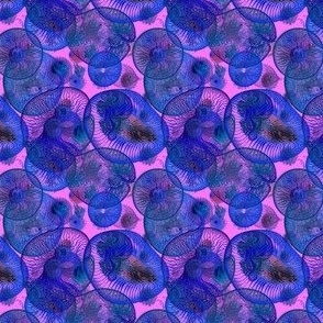 Fuchsia Xray Swarm