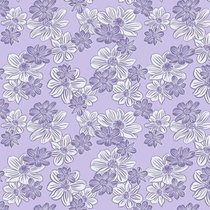 Dandelion daisies, purple sml