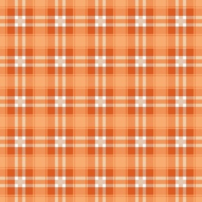 Traditional autumn plaid checkered tartan design seventies retro style textile design vintage orange blush seventies palette