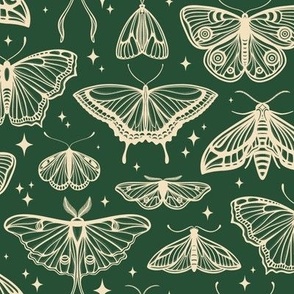 Moths & Butterflies // Medium // Evergreen 