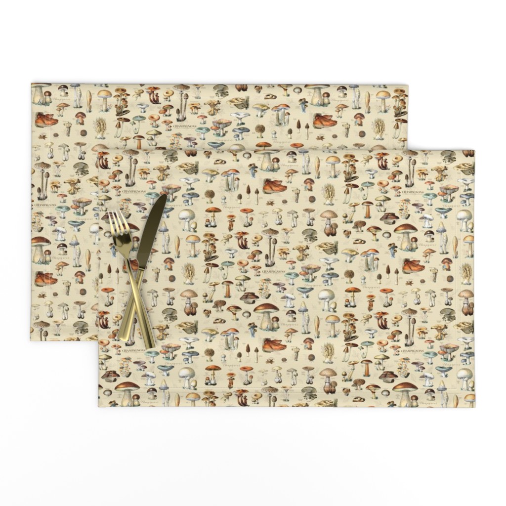 Mushroom Classification Wallpaper in Beige