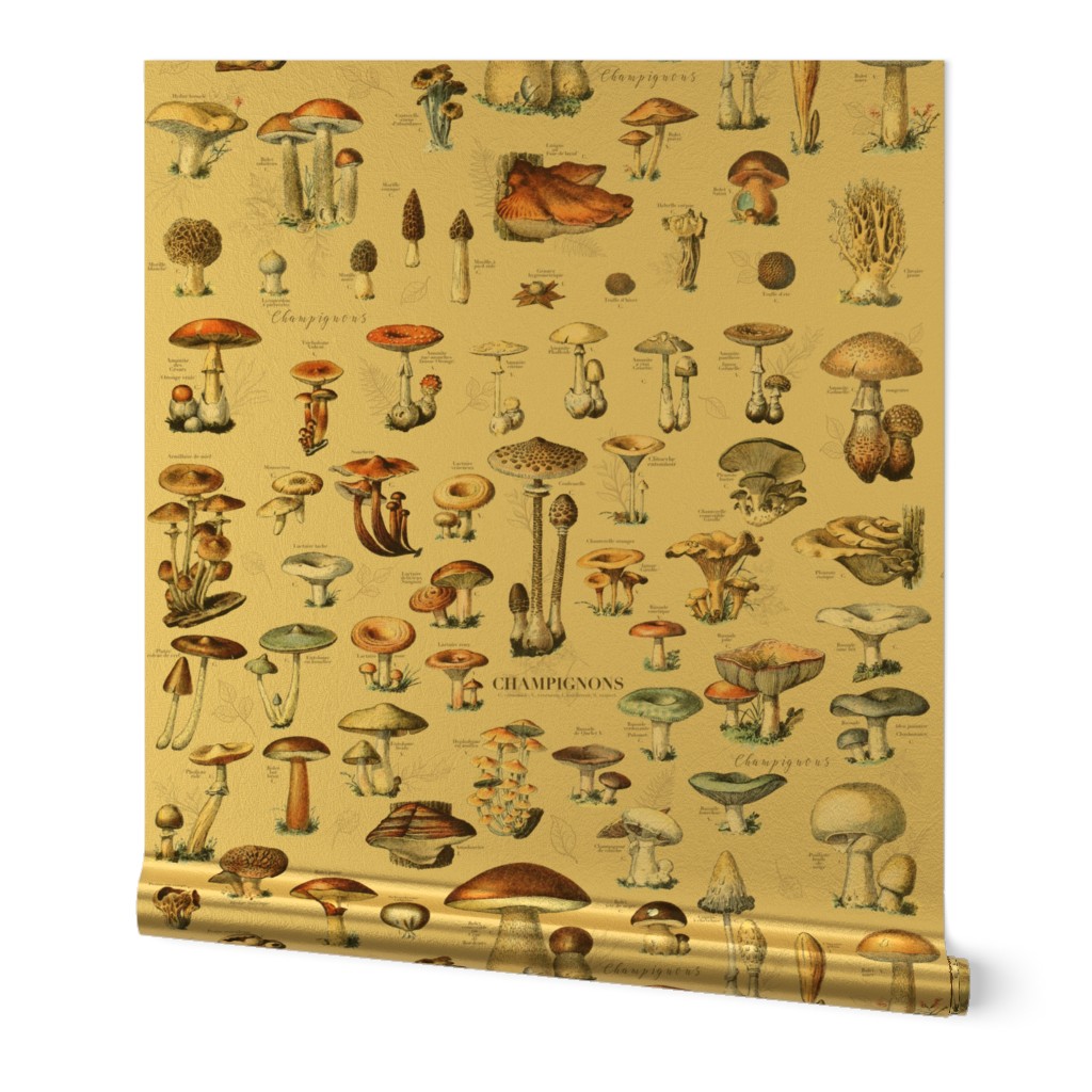 Mushroom Classification Wallpaper in Beige