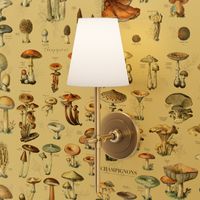 Mushroom Classification Wallpaper in Beige