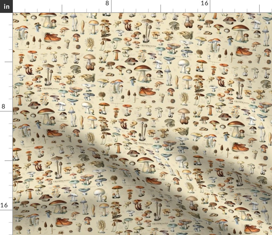 Mushroom Classification Wallpaper in Fabric | Spoonflower