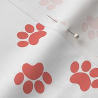 Paw Prints - Coral On White