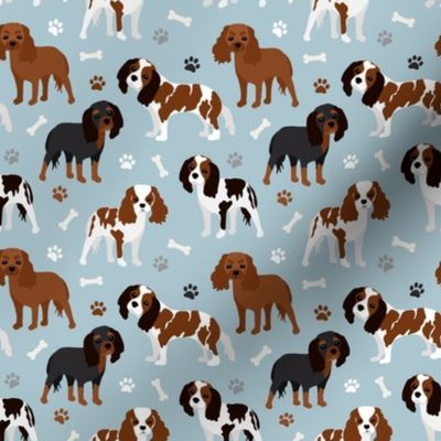 Cavalier King Charles Spaniel Dogs Blue Small Scale