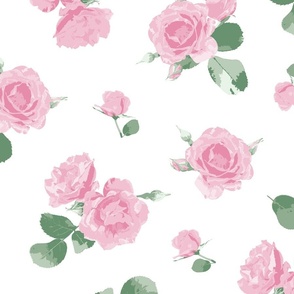 Pink roses on white